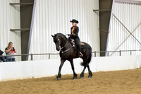 92 Opportunity Western Pleasure Open to all breeds