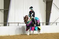 96 $100 Region 5 Champion Part Bred Friesian Fantasy Costume