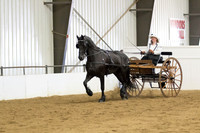 93 $100 Region 5 Champion Friesian Drive & Ride