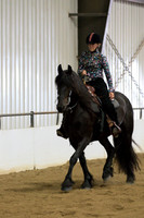 109 Region 5 Champion Friesian Walk Trot Pleasure Western Amateur