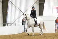 98 A_L Dressage Suitability Amateur