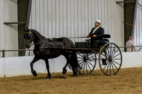 102 Region 5 Champion Friesian Sport Pleasure Driving Open