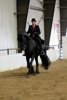 112 Opportunity English Pleasure Saddle Seat Open to all breeds