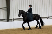 113 Region 5 Champion Friesian Walk Trot under saddle Junior Horse Open