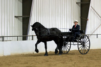 114 $100 Region 5 Champion Friesian Drive & Ride Walk-Trot Open