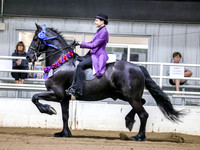 sssSun-0483