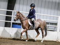 ssssat-0292