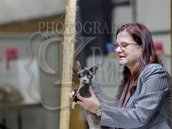 CatShowSat-0818
