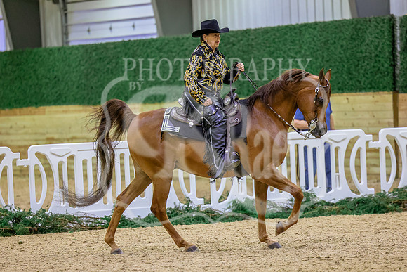 BN5A4790