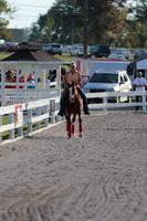 Arabians