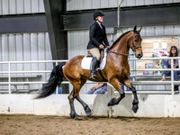 sssSat-6087