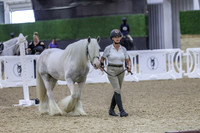 SSJ_Sun26-0477