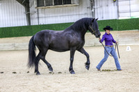 SSJ_Sun26-2009