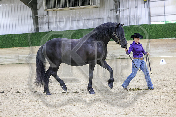 SSJ_Sun26-2009