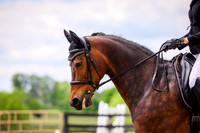 SahibaF-3194
