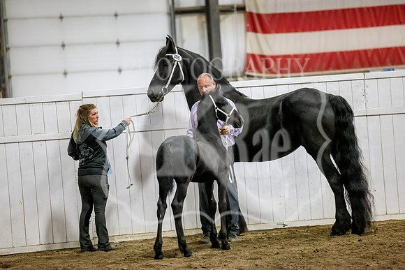 BN5A1467