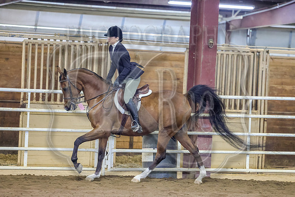 SASS-0689