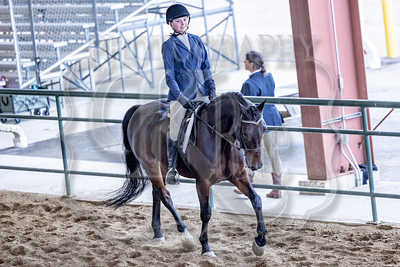 OSB_FallShow-3831