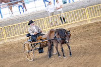 OSB_FallShow-0173