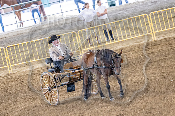 OSB_FallShow-0173