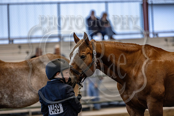 OSB_FallShow-0109