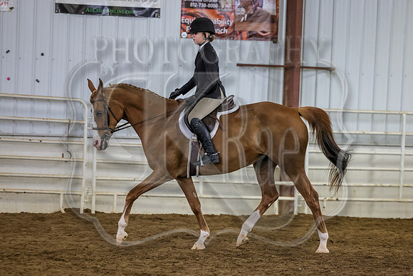 SASS-3805