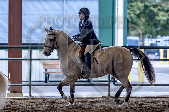 OSB_FallShow-0866