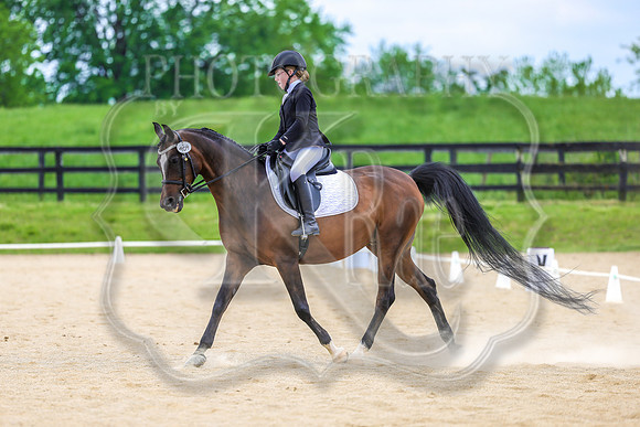 SASS-0665