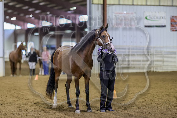 SASS-4855