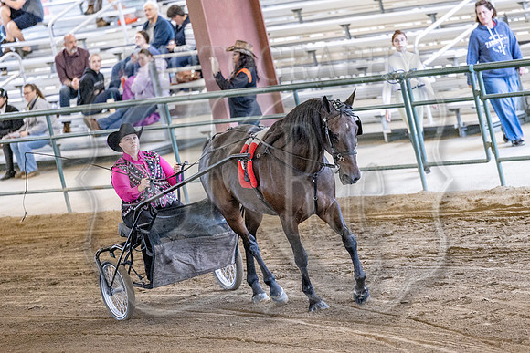OSB_FallShow-0243