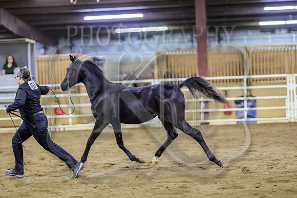 SASS-5641
