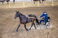 OSB_FallShow-0589