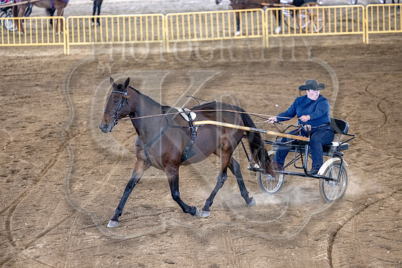 OSB_FallShow-0589