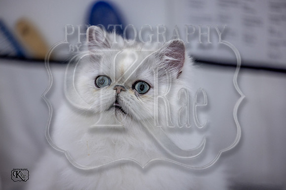 CFA_WLMGTN-0065