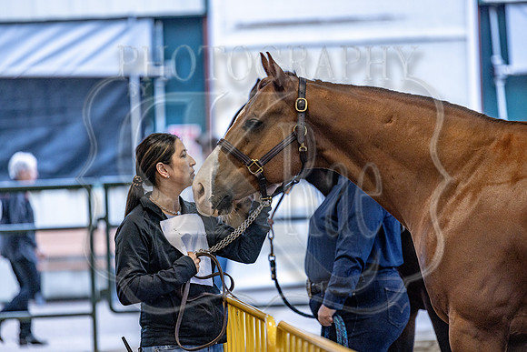 OSB_FallShow-2249