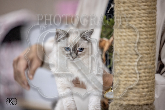CFA_WLMGTN-0168