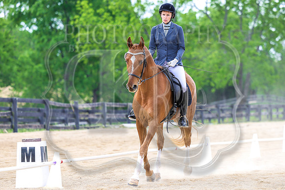 SASS-4519