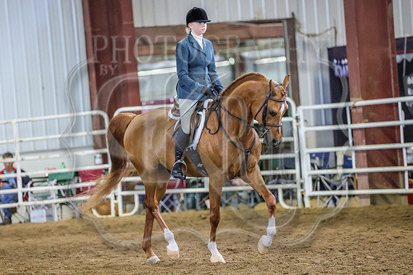 SASS-4617