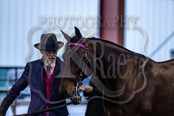 OSB_FallShow-0096