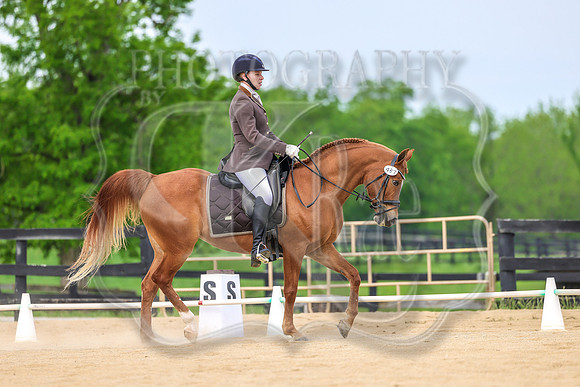 SASS-2556