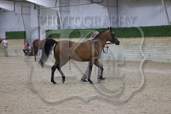 BN5A7268