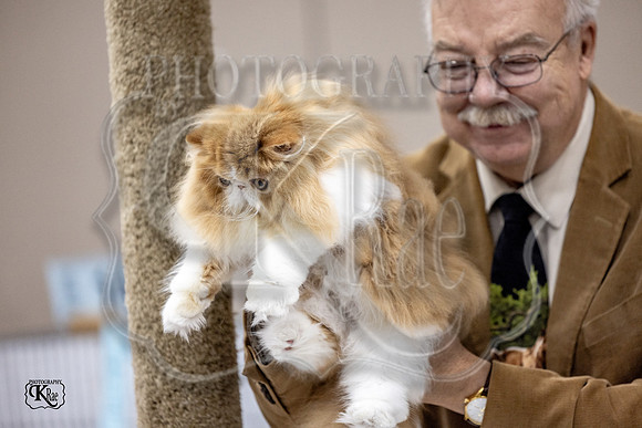 CFA_WLMGTN-0287