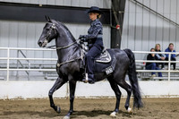 sss-1976