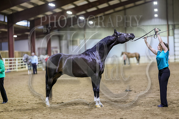 SASS-6457