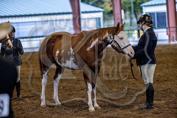 OSB_FallShow-0142