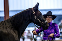 OSB_FallShow-0215
