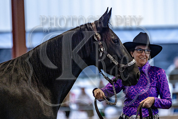 OSB_FallShow-0215