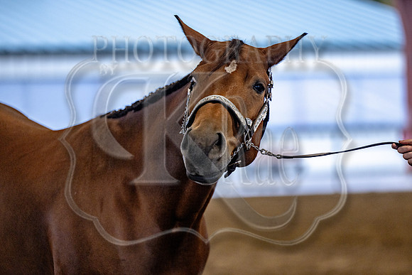 OSB_FallShow-0253