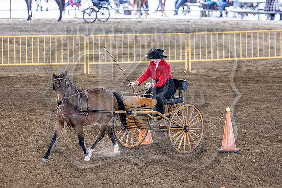 OSB_FallShow-0645