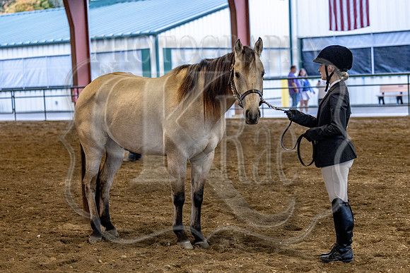 OSB_FallShow-0088